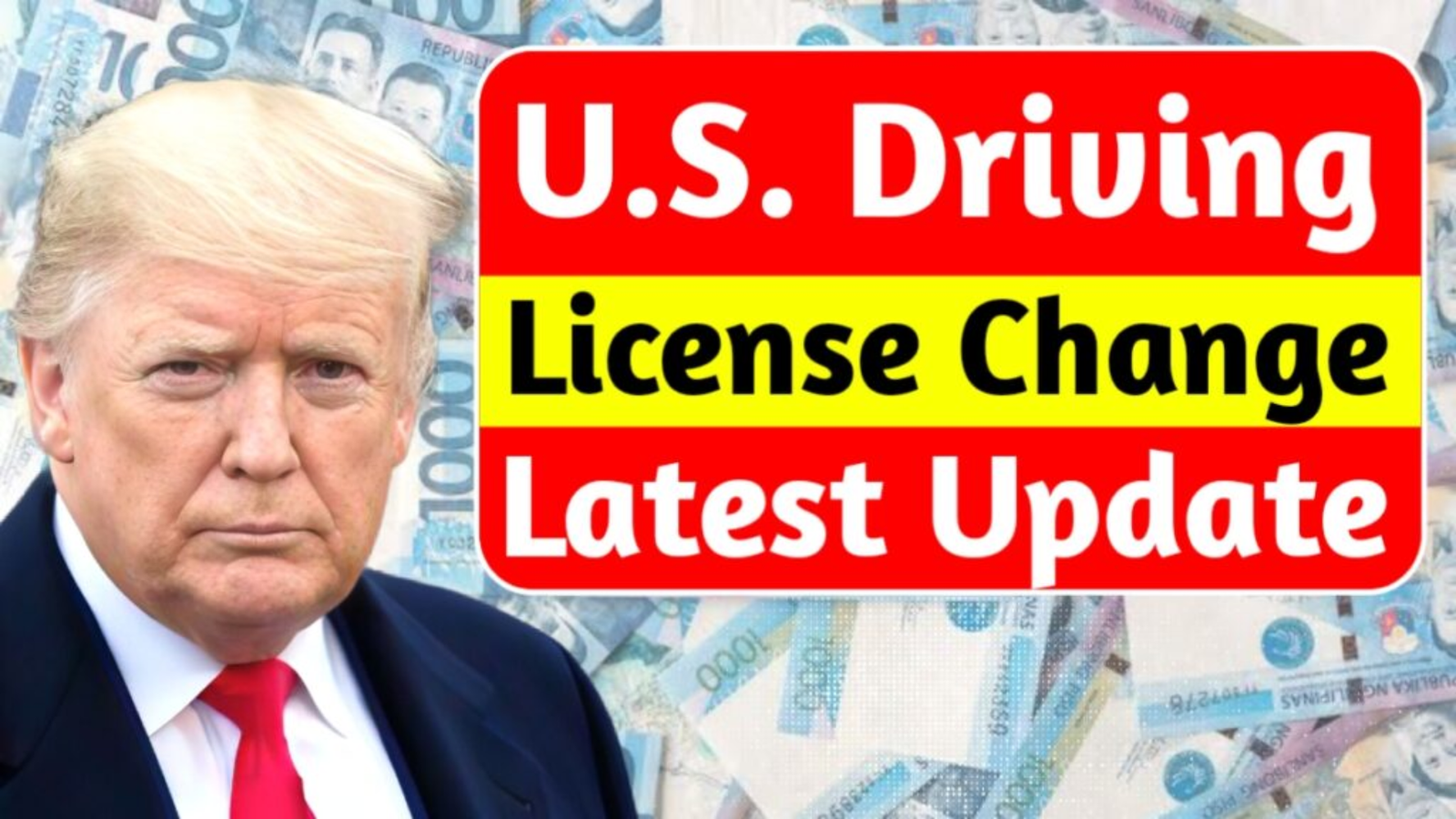 U.S. Driving License Changes 2025